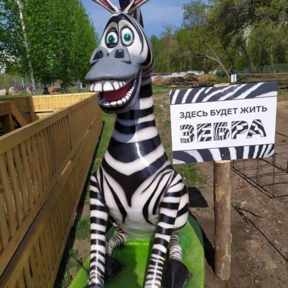 В зоопарке будет жить зебра