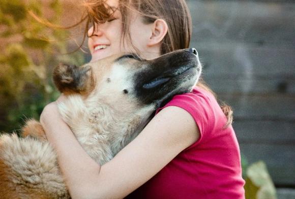 В Барнауле появится зооцентр, где можно подружиться с собаками и кошками