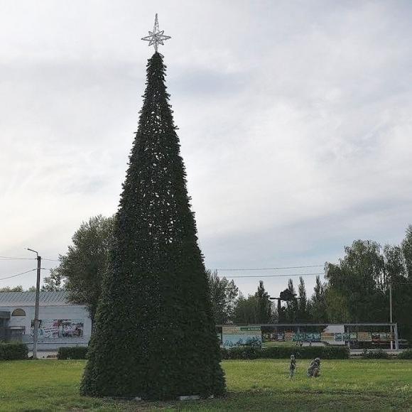 В Алейске установили новогоднюю елку