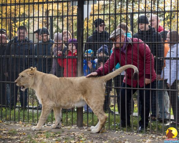 Пенсионеры смогут посетить зоопарк бесплатно