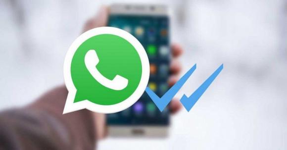 В поликлинике №14 теперь можно вызвать врача по WhatsApp