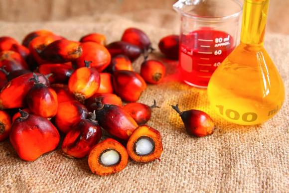 В России хотят запретить пальмовое масло в ряде продуктов