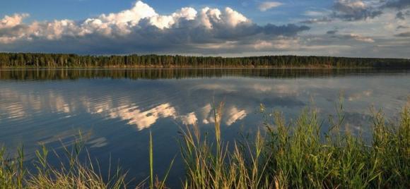 Почти 260 млн рублей потратят на расчистку озера Завьялово