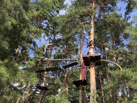 В веревочном парке Барнаула ребенок рухнул с высоты 6 метров