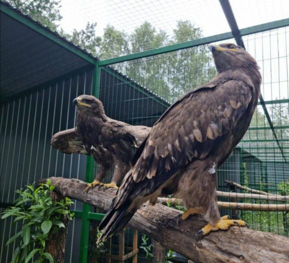 В зоопарке Барнаула появился новый птичий вольер