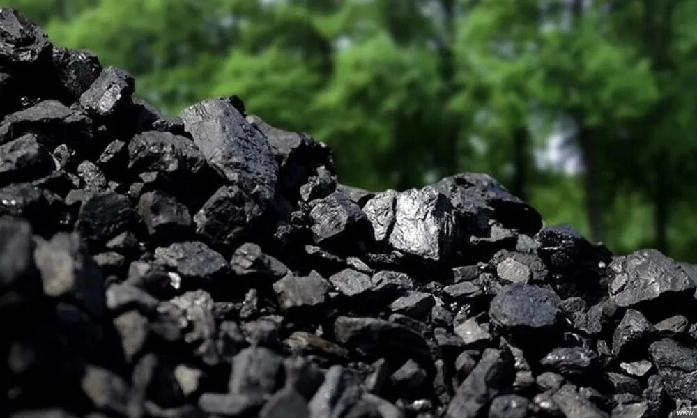 В Алтайском крае увеличили предельную цену угля для населения