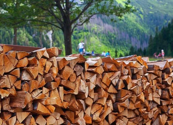 Алтайский край - третий в рейтинге дорогих дров