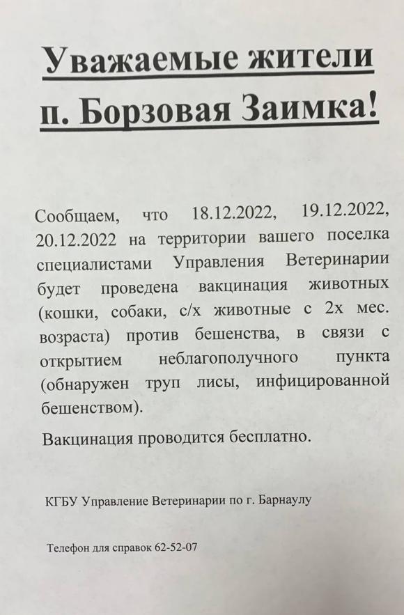 В Барнауле выявили случай бешенства