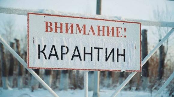 В пригороде Барнаула объявлен карантин из-за опасной болезни лошадей