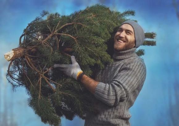 Барнаульцы могут с пользой избавиться от елки и отправить ее на переработку