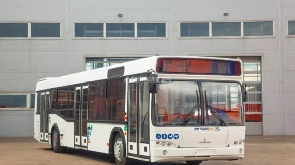 Барнаул может закупить белорусские автобусы