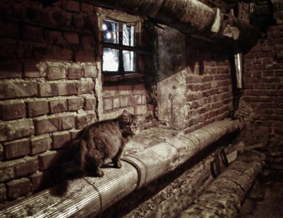 В Новоалтайске двое детей жили в подвале дома