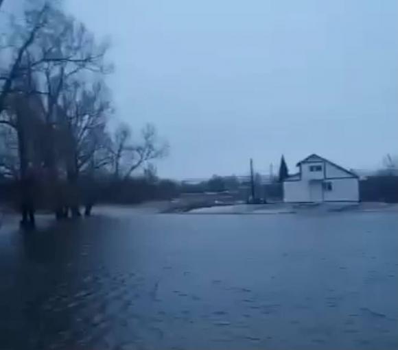 Жителями Краснощеково заинтересовались силовики из-за ругательного видео в адрес чиновников