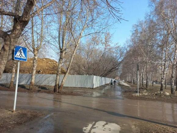 Барнаульцы переживают, что в парке Целинников начали стройку