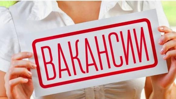 В Барнауле пройдёт этап Всероссийской ярмарки трудоустройства