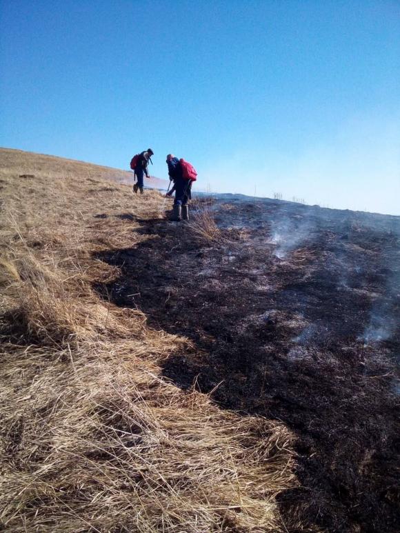 В Солонешенском районе поступило сообщение о пале сухой травы