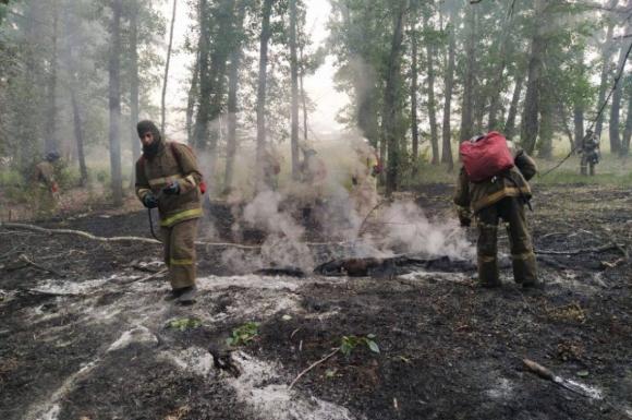 Пожарные в Алтайском крае локализовали возгорание в районе села Вострово