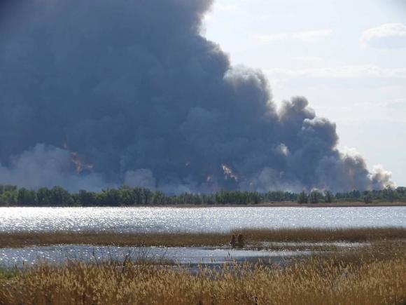 Крупный лесной пожар вспыхнул на границе с РФ