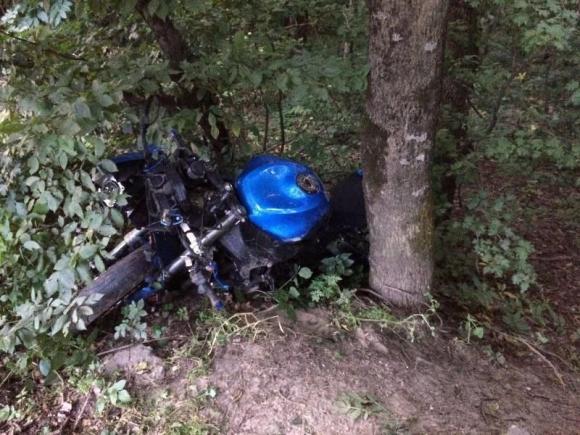 В Егорьевском районе мотоциклист с пассажиркой врезались в дерево и погибли