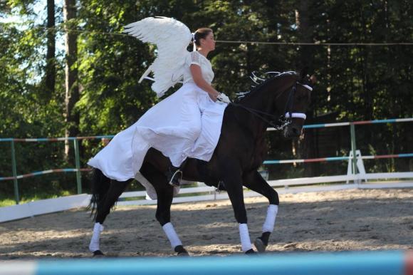 На конеферме АГАУ состоятся соревнования по конному спорту