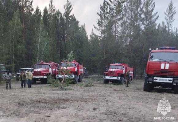 В Егорьевском районе дотушивают масштабный лесной пожар