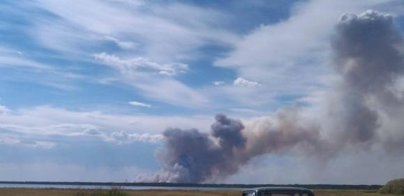 В Лебяжинском лесничестве Егорьевского района тушат лесной пожар