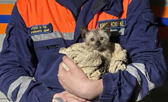 Спасатели Управления по делам ГОЧС и ПБ спасли котенка, который мог утонуть в канализации