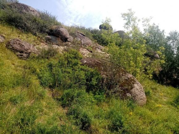 В Целинном районе зарегистрировали уникальный памятник природы - Еландинские камушки