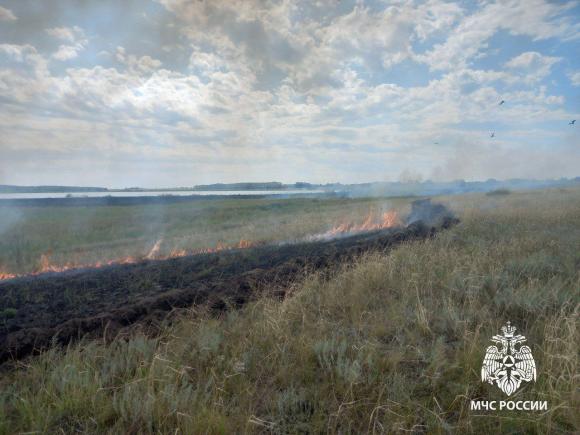 В палаточном лагере при  приготовлении пищи на портативной газовой плите загорелась трава