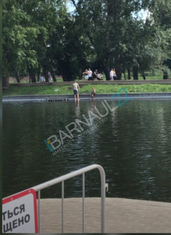 В парке «Изумрудный» города Барнаула  в пруду чуть не утонул ребёнок