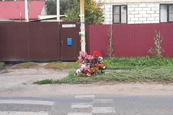 Нашему интернет-сообществу «Barnaul22» прислали сообщение члены семьи погибшей девочки из Борзовой Заимки