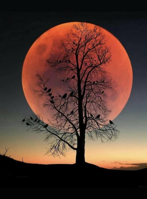 28 октября жители региона смогут наблюдать последнее в этом году лунное 