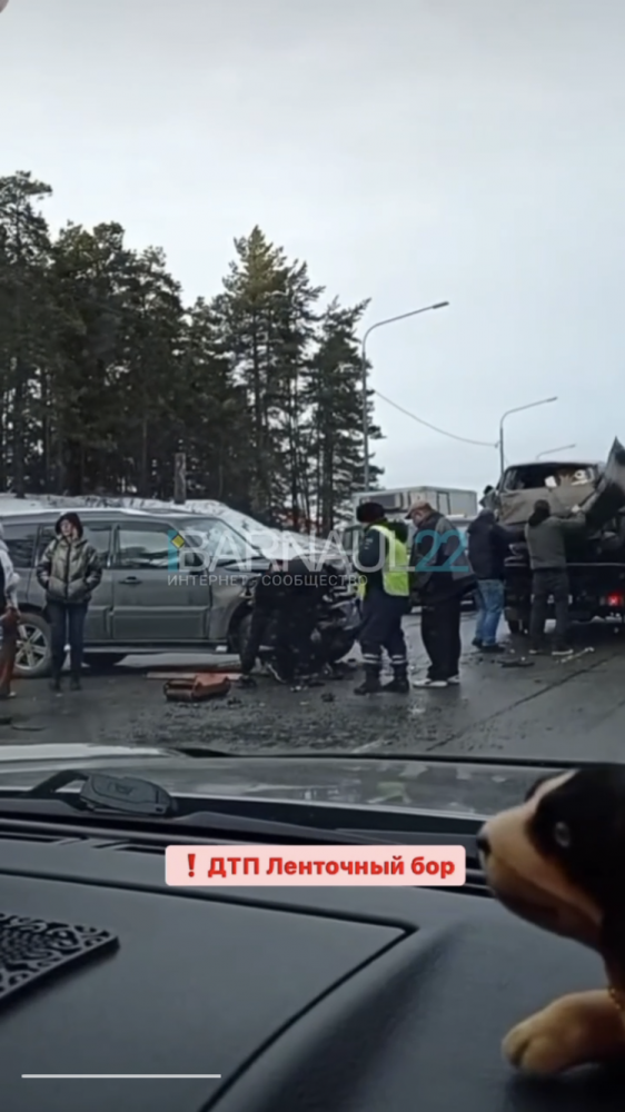 В Барнауле на шоссе Ленточный Бор произошло массовое ДТП