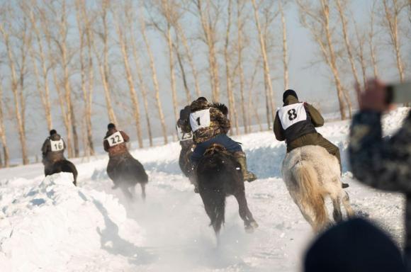 3 февраля в Налобихе пройдут конные бега беспородных лошадей