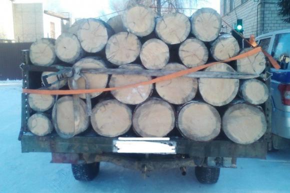 В Угловском районе полицейские раскрыли кражу древесины