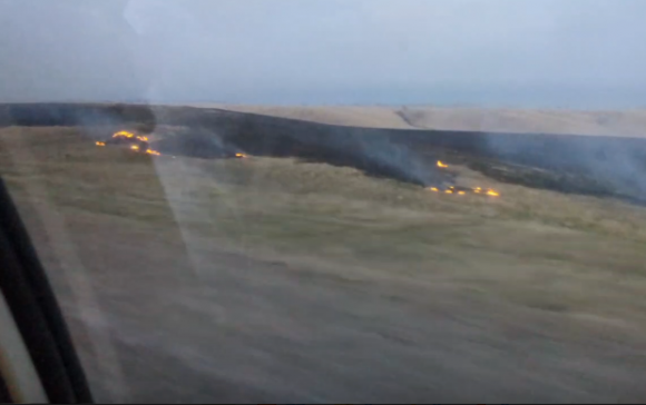 Власти объяснили происхождение огня на полях в одном из районов Алтайского края