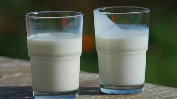 В молочной продукции алтайского производителя обнаружили 