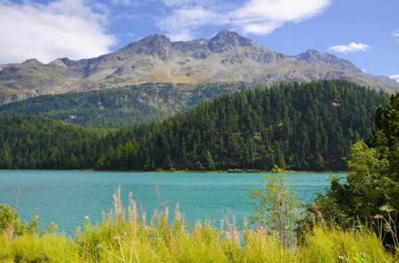 Республика Алтай и Алтайский край вошли в число самых дорогих регионов для туристов