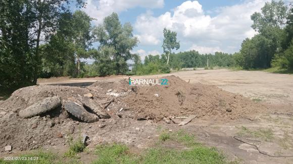 Жители Булыгино обратились к мэру Барнаула по поводу засыпки Лесного пруда