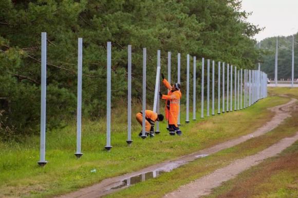 В Барнауле началась установка противолосиных заборов