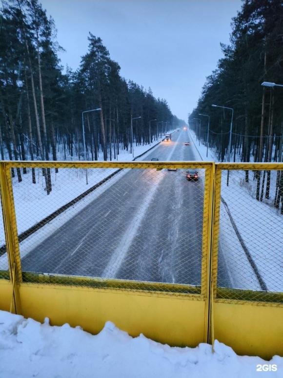 Ограничительные барьеры  планируют установить на шоссе Ленточный Бор в Барнауле