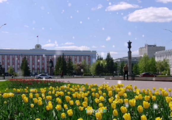 Синоптики прогнозируют снег в Алтайском крае