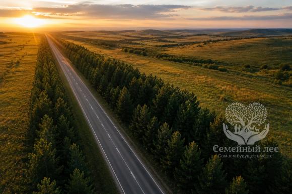 ПРИГЛАШАЕМ НА ЭКО-АКЦИЮ «СЕМЕЙНЫЙ ЛЕС» — возрождаем лесополосы вместе!
