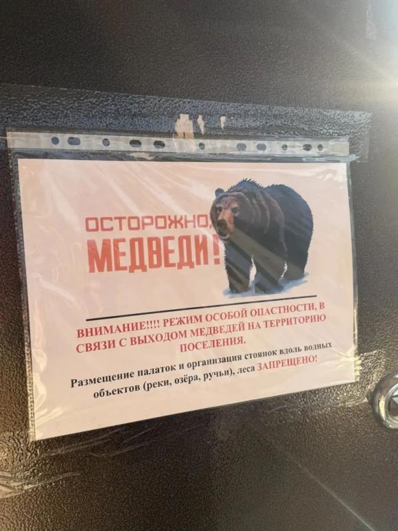 В день гибели туристки медведь-людоед чуть не растерзал ещё одну женщину