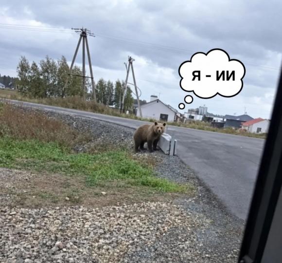 Фото медвежонка под Барнаулом оказалось нейросетью