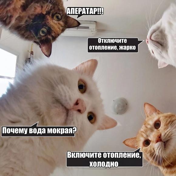 С завтрашнего дня в Барнауле включат отопление