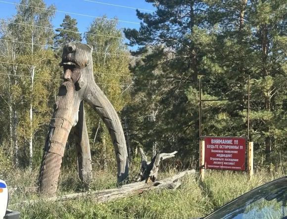 Под Барнаулом заметили медведя - и это не фейк