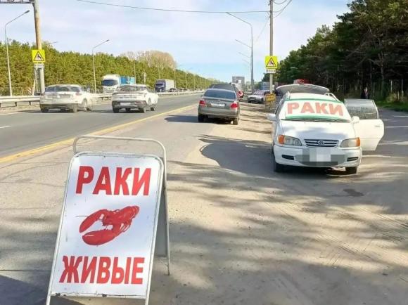 Стихийную торговлю на въезде в Барнаул решили взять под жёсткий контроль