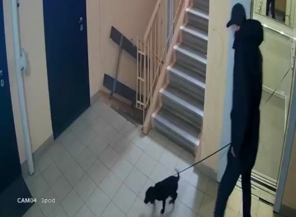 В Новоалтайске щенок, брошенный в лифте, едва не погиб