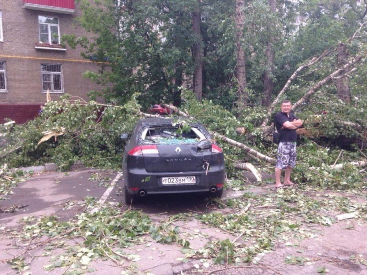 Последствия вчерашнего урагана в москве